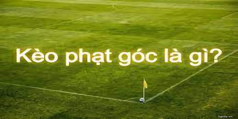 ảnh đại diện kèo phạt góc